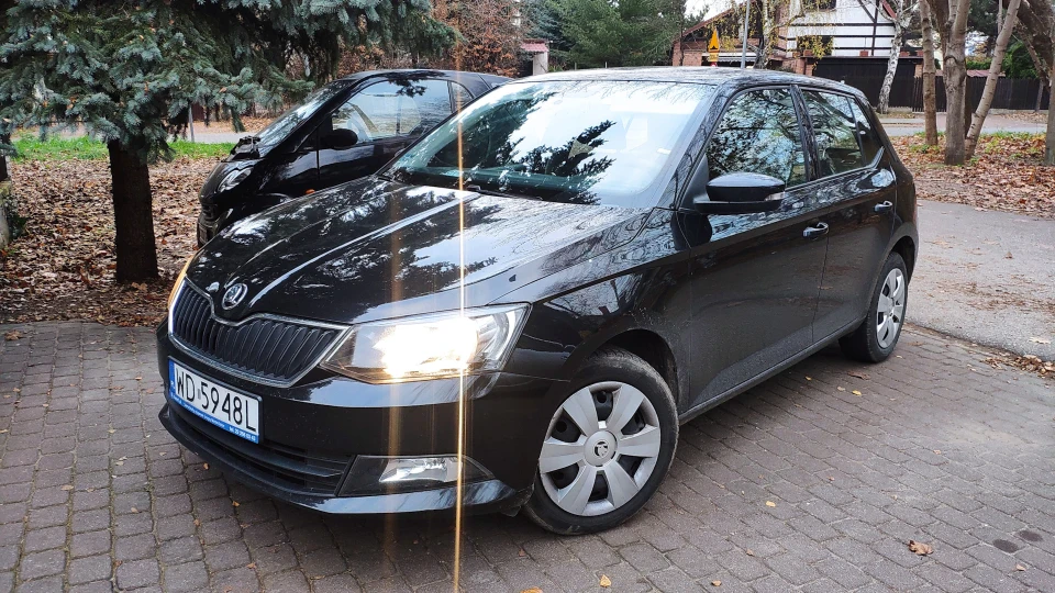 Skoda Fabia 10