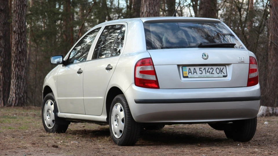 Skoda Fabia 1.2 12v сіра мишка 3
