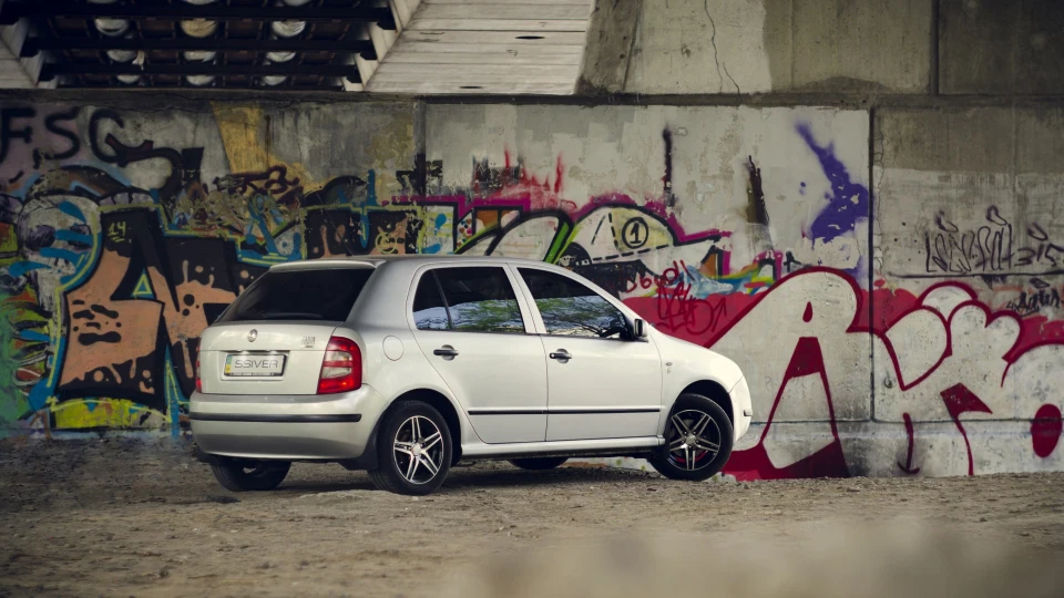 Skoda Fabia 1.4 AME [Cherepashka] 3