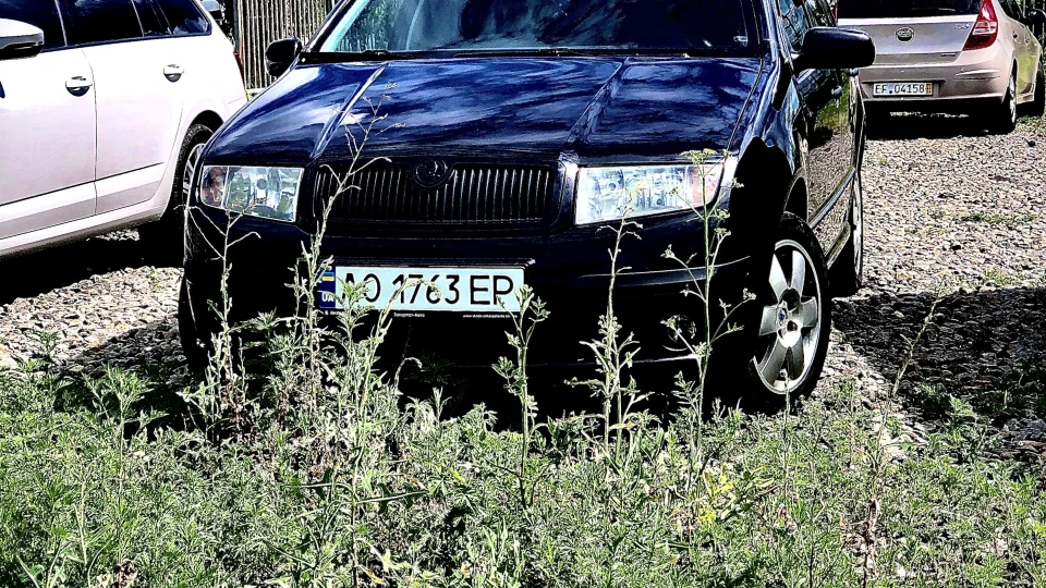 Skoda Fabia 1,4 MPI чорна пантера 4