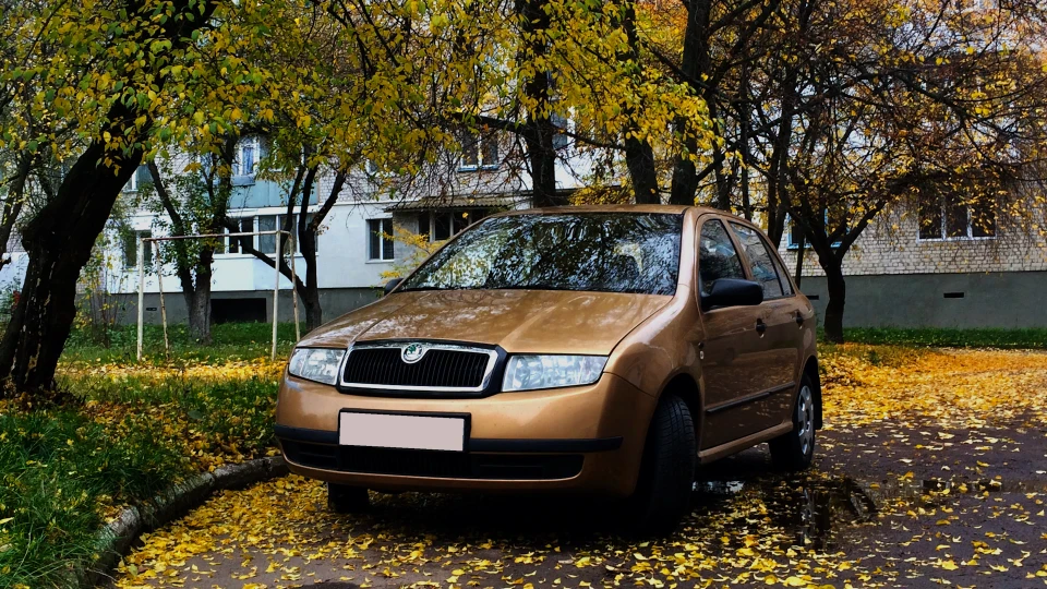 Skoda Fabia 1.4 MPi Classic Шкодик 2