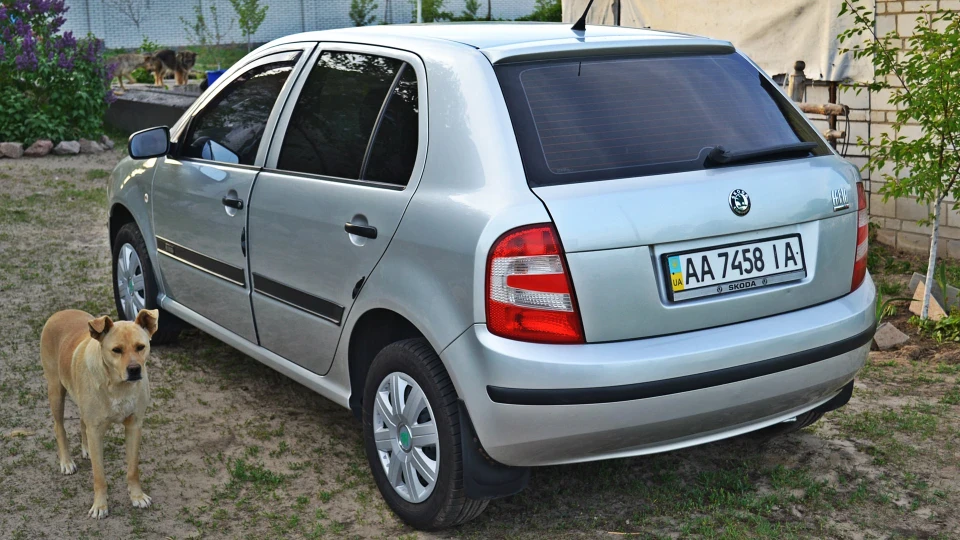 Skoda Fabia 64 диких коня 4