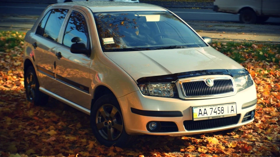 Skoda Fabia 64 диких коня 5