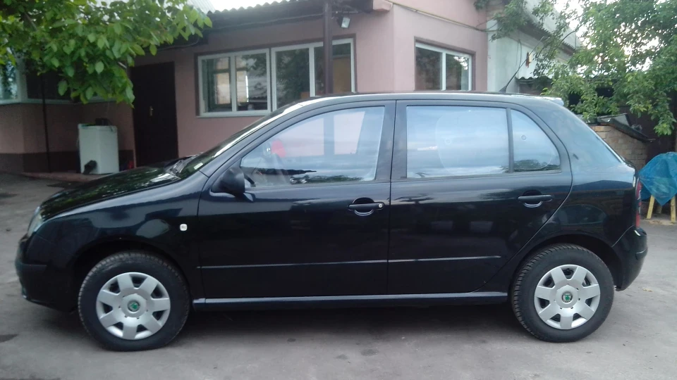 Skoda Fabia Чорна конячка