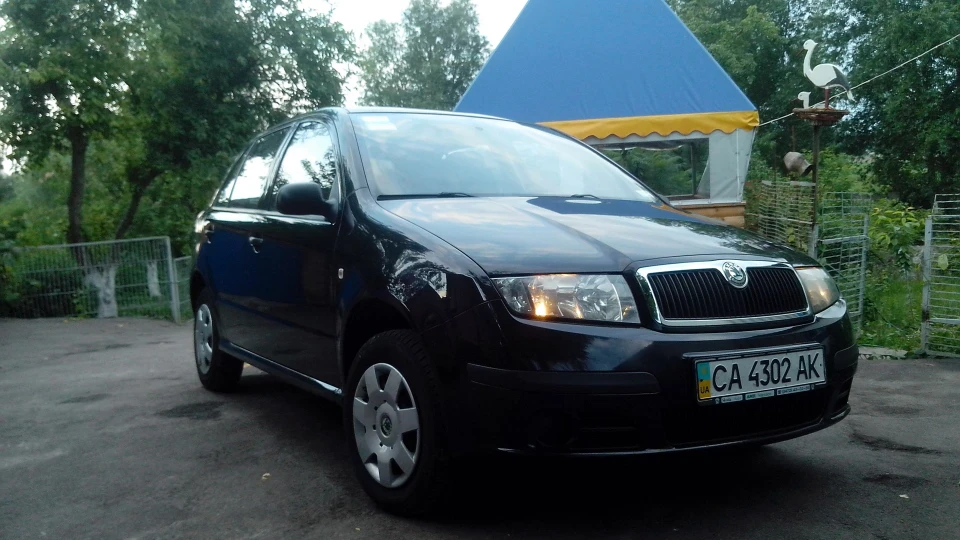Skoda Fabia Чорна конячка 2