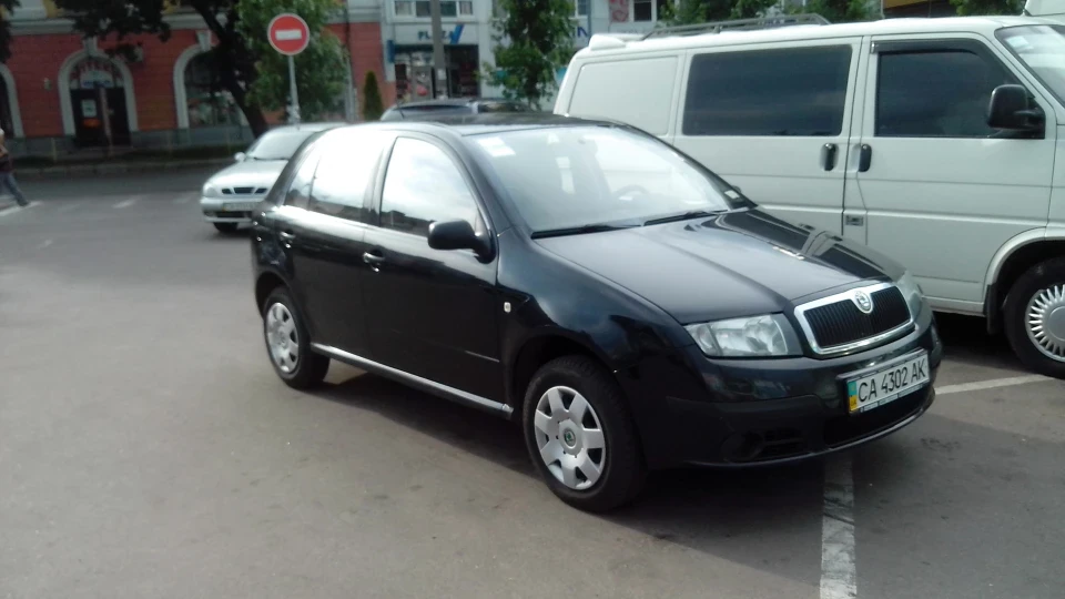 Skoda Fabia Чорна конячка 5