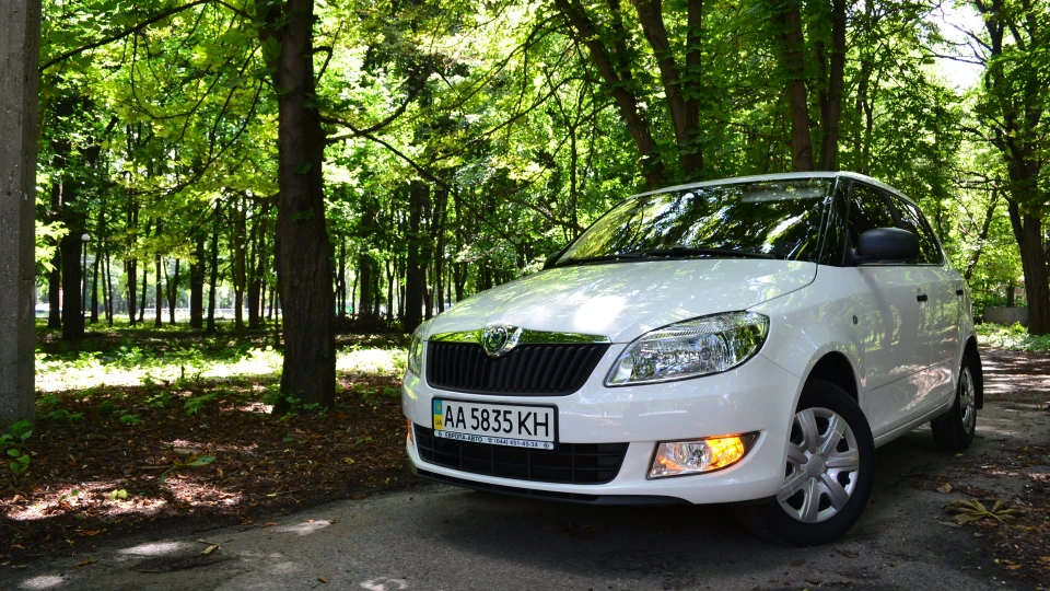 Skoda Fabia ЧорноБілка