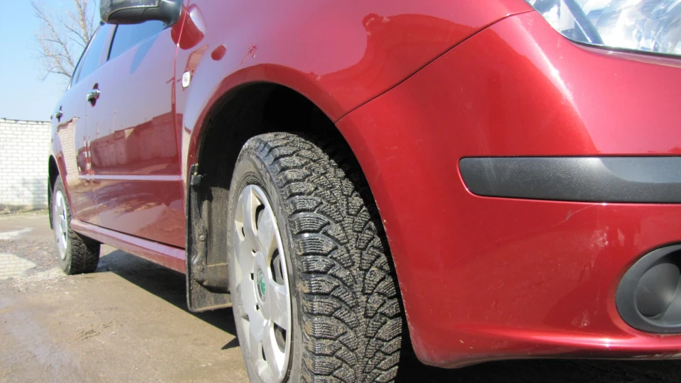 Skoda Fabia фламенко 4