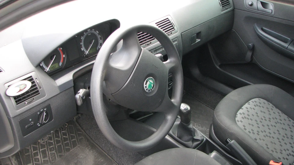Skoda Fabia Городянка 4