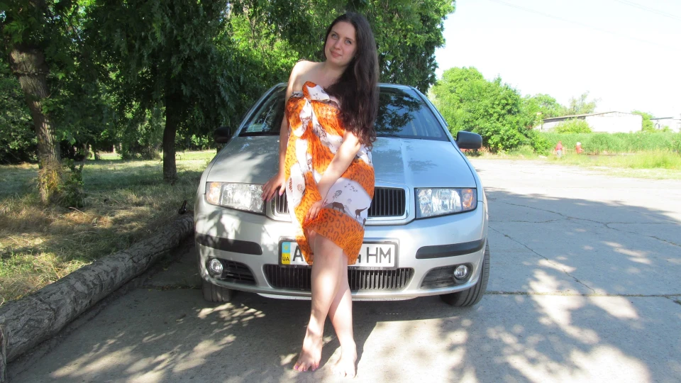 Skoda Fabia Інномалишка 2