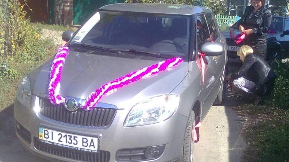 Skoda Fabia Кирпа 5