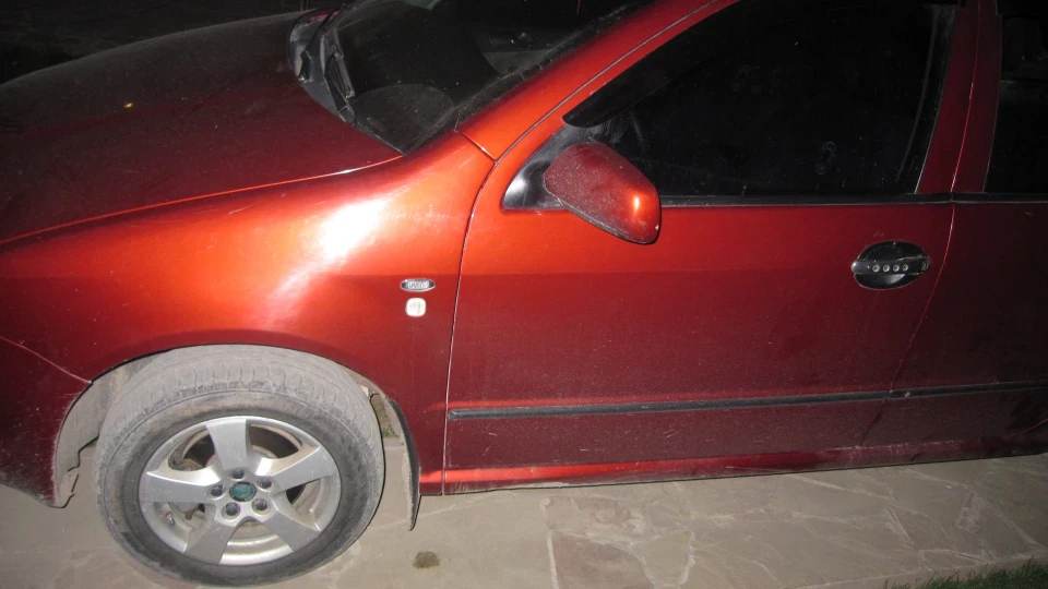Skoda Fabia ластівка 3