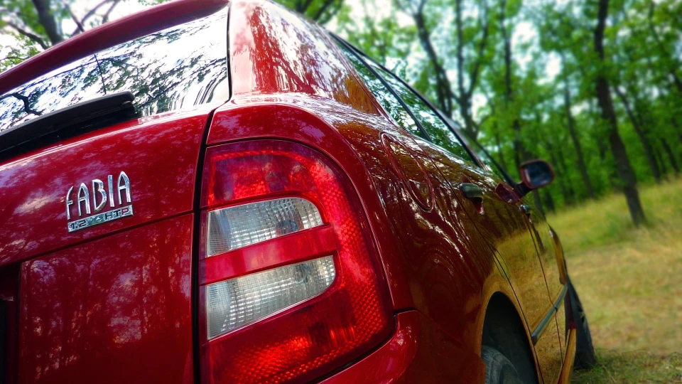 Skoda Fabia ☆Лисица☆ 4
