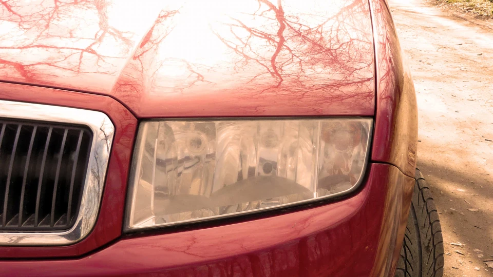 Skoda Fabia ☆Лисица☆ 5