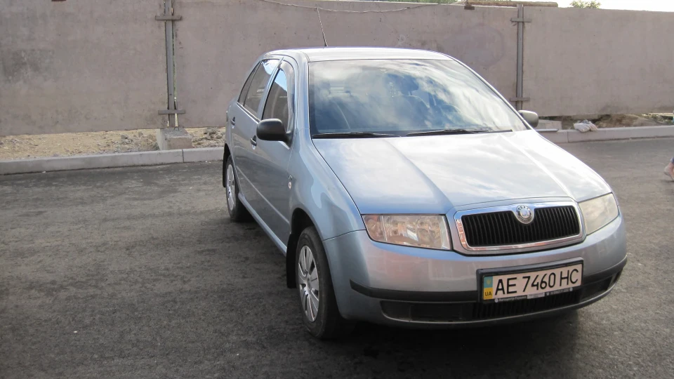 Skoda Fabia Маленька чешка 5