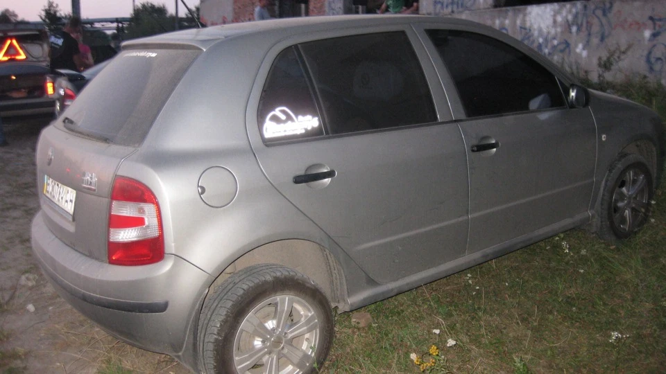 Skoda Fabia маленький звір