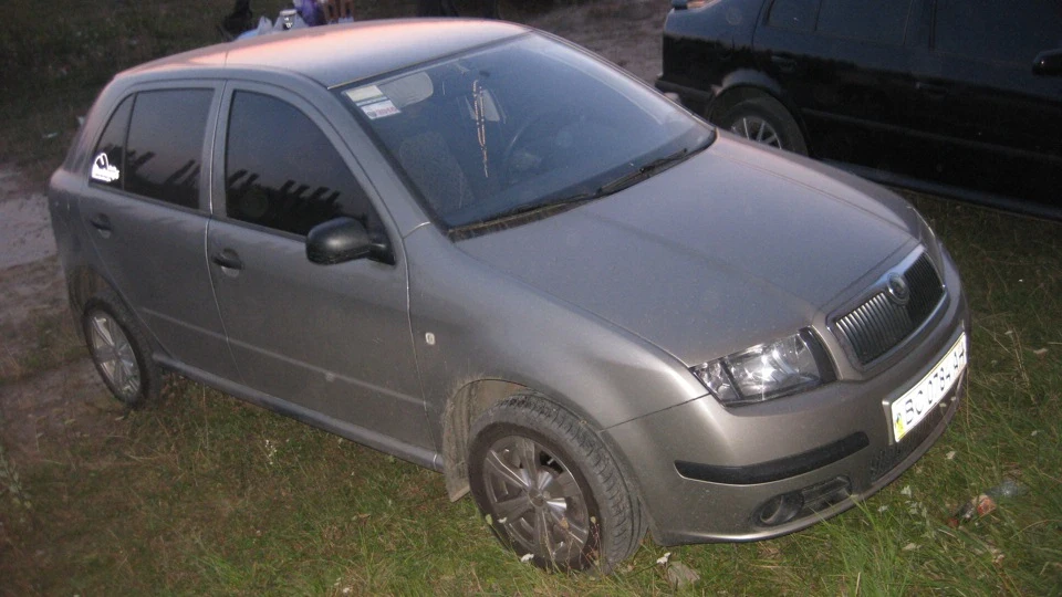 Skoda Fabia маленький звір 2
