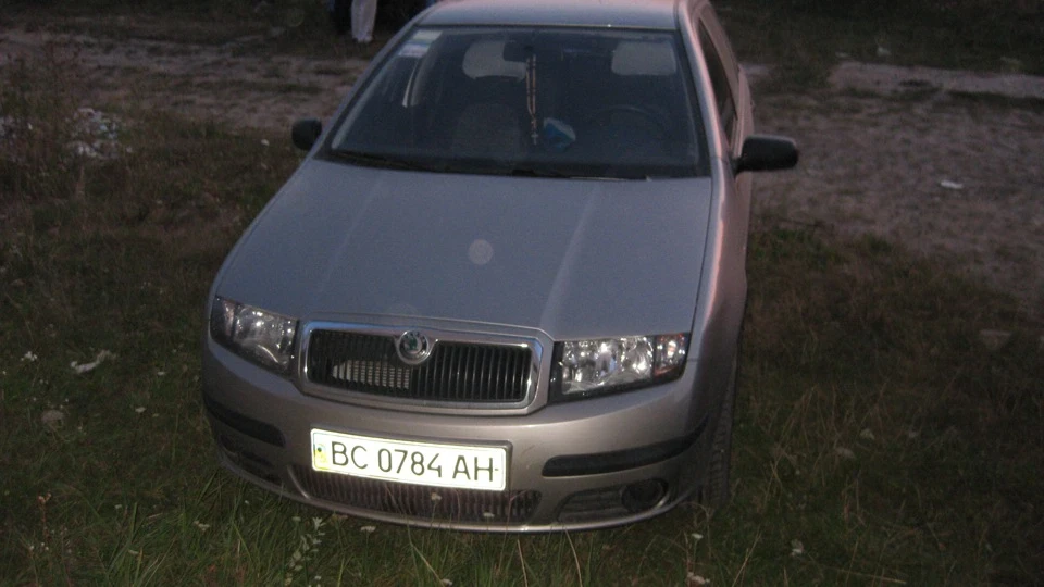 Skoda Fabia маленький звір 4
