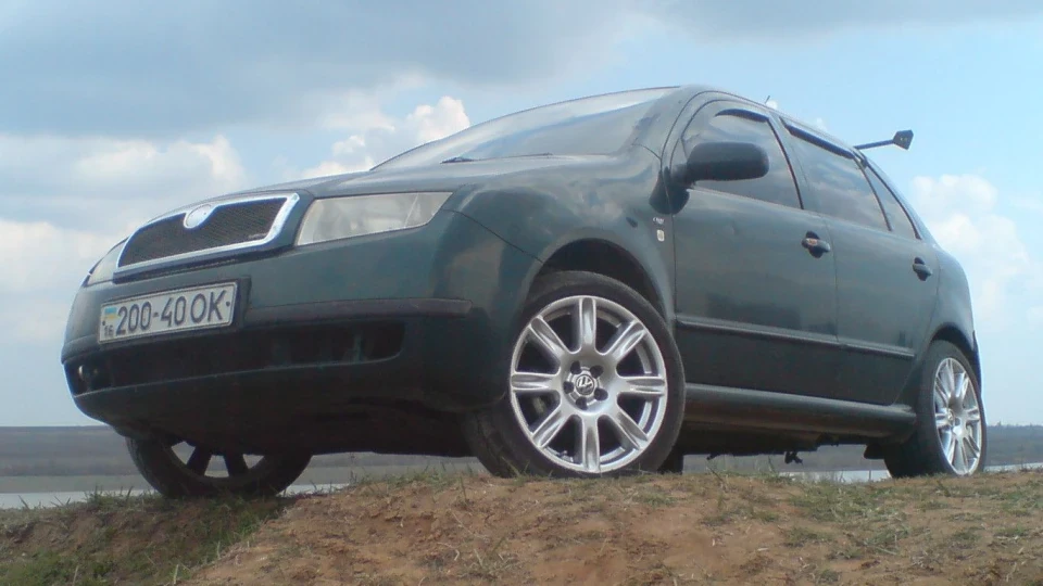Skoda Fabia Мамуліна ластівка)