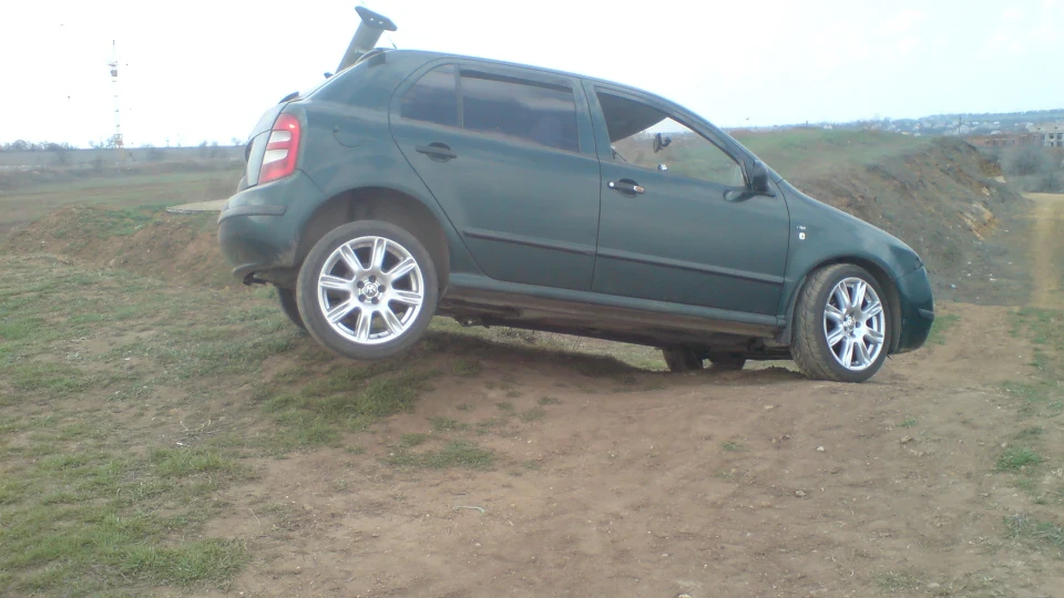 Skoda Fabia Мамуліна ластівка) 3