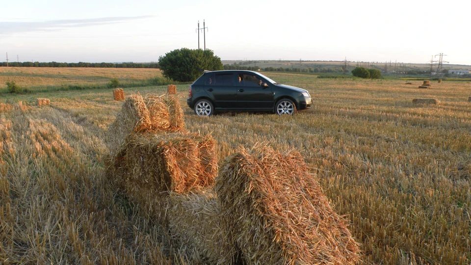 Skoda Fabia Мамуліна ластівка) 4