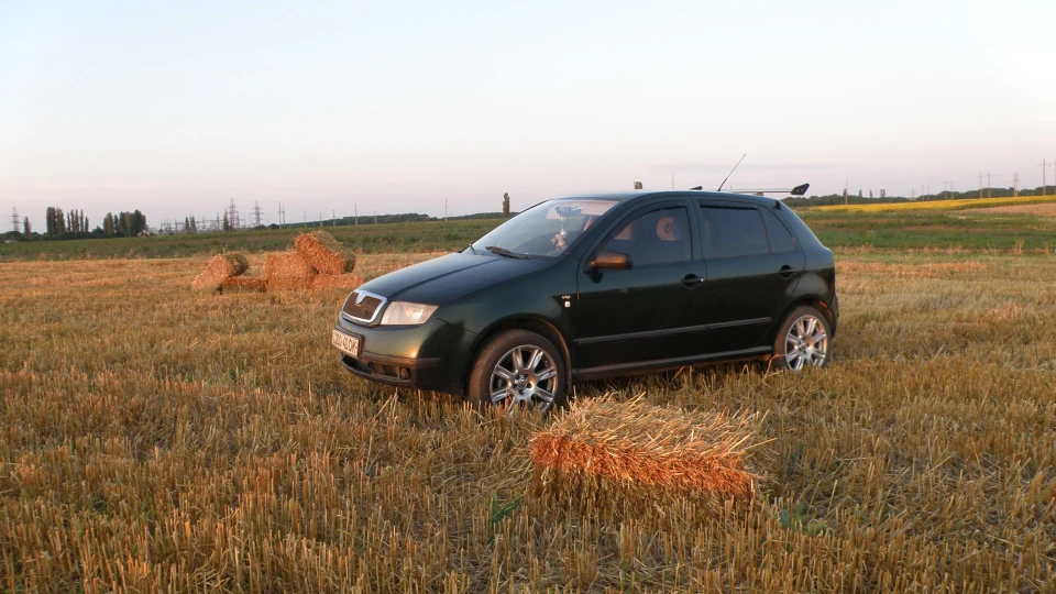 Skoda Fabia Мамуліна ластівка) 5