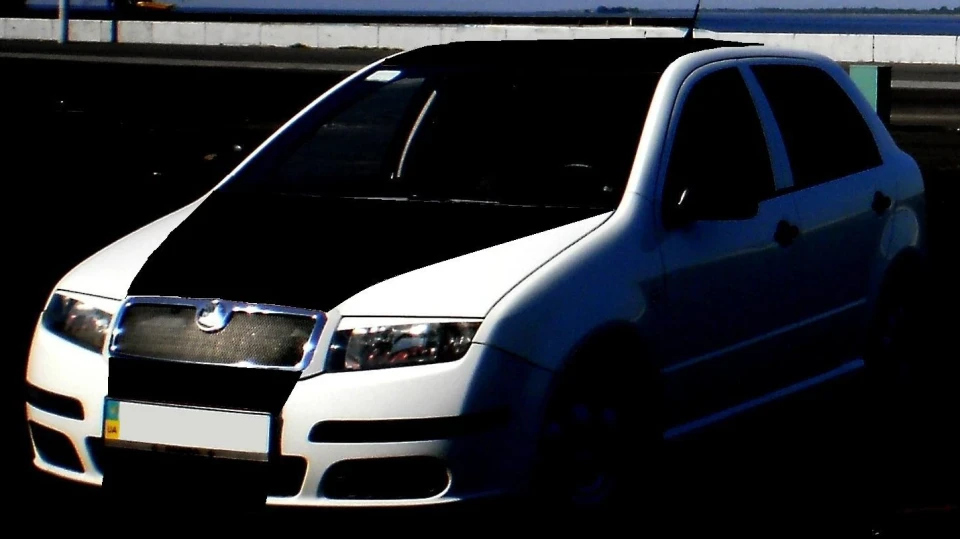 Skoda Fabia Mersik) 3
