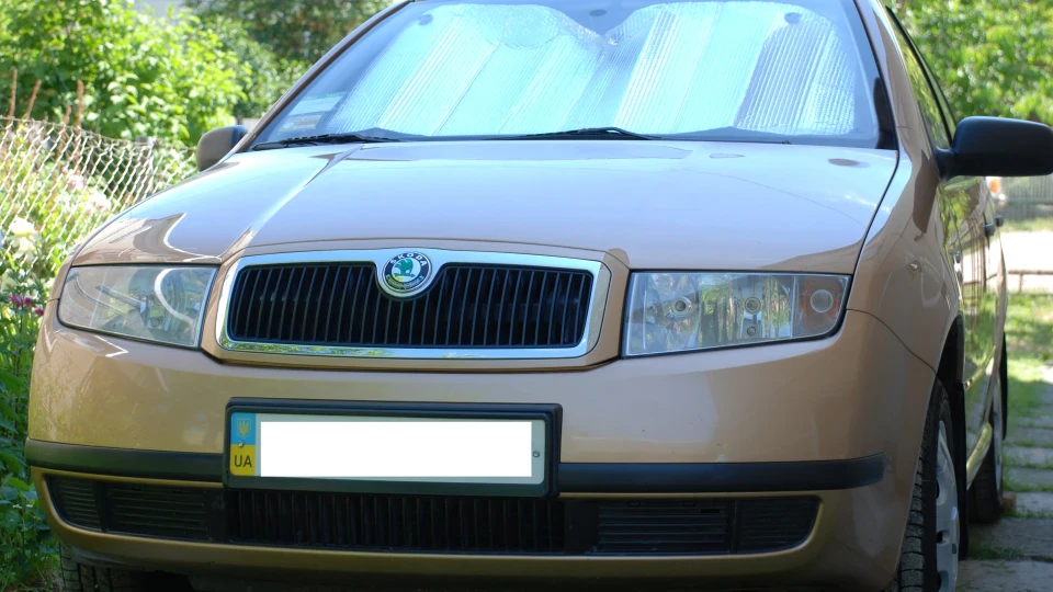 Skoda Fabia Моя Золота