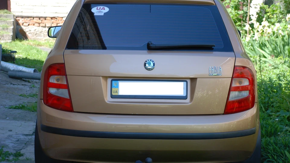 Skoda Fabia Моя Золота 3