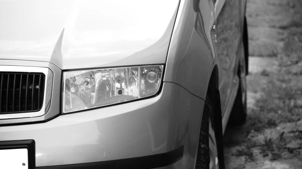 Skoda Fabia Моя Золота 4