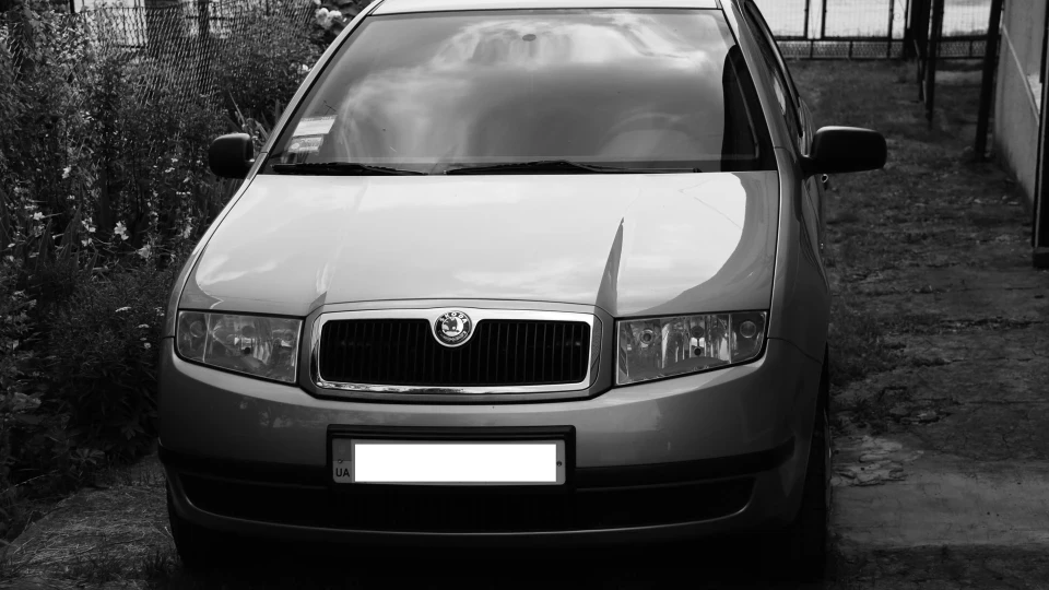 Skoda Fabia Моя Золота 5