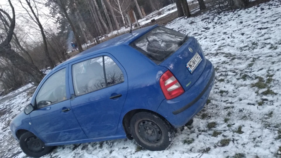 Skoda Fabia Гармата 3