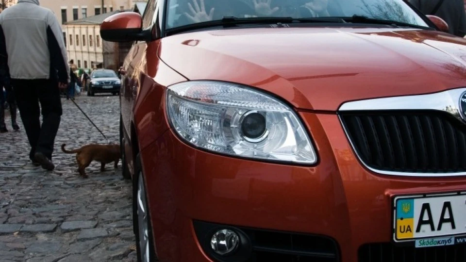 Skoda Fabia Руда 2