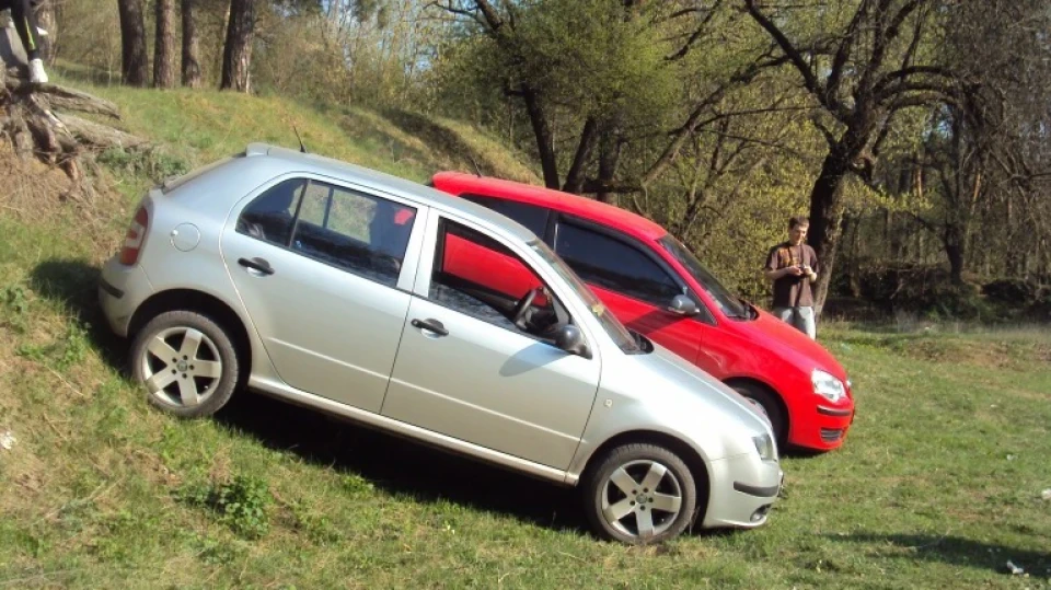 Skoda Fabia сріблястий;) 2