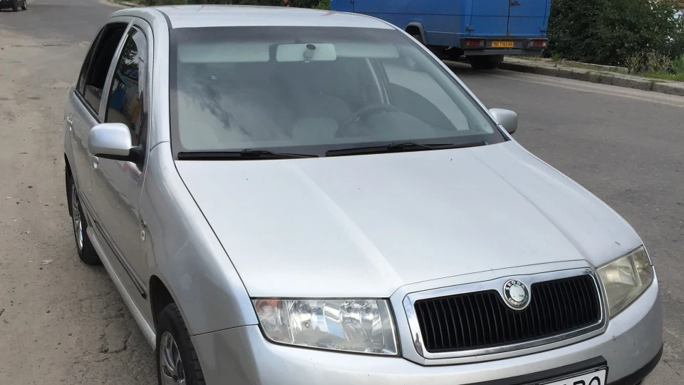 Skoda Fabia сіренька мишка 4