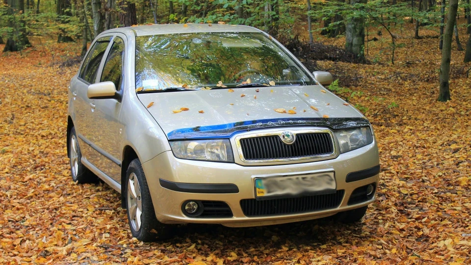 Skoda Fabia Шкода Хая