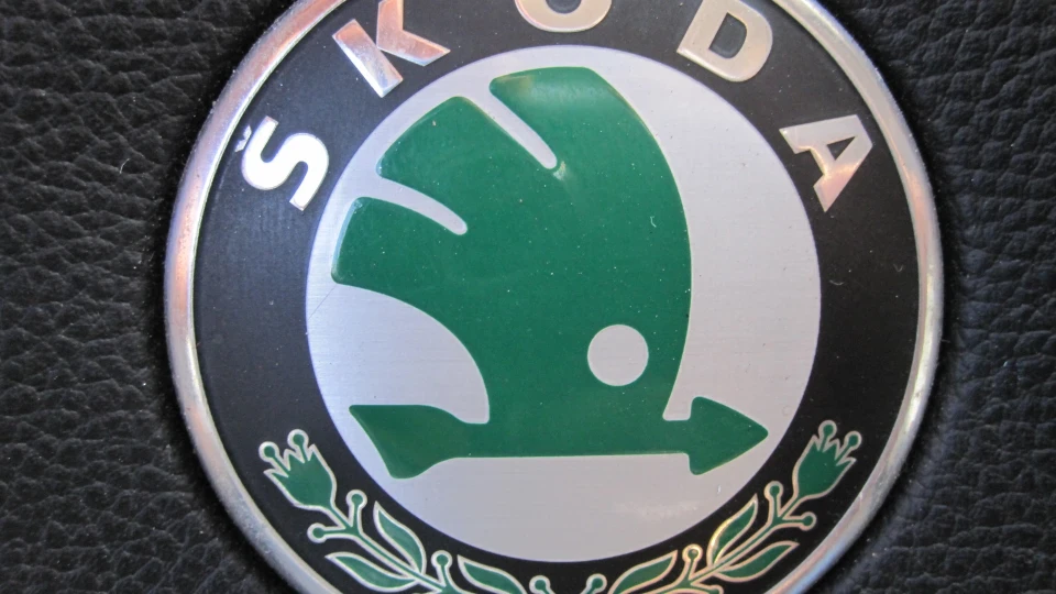 Skoda Fabia Шкода 3