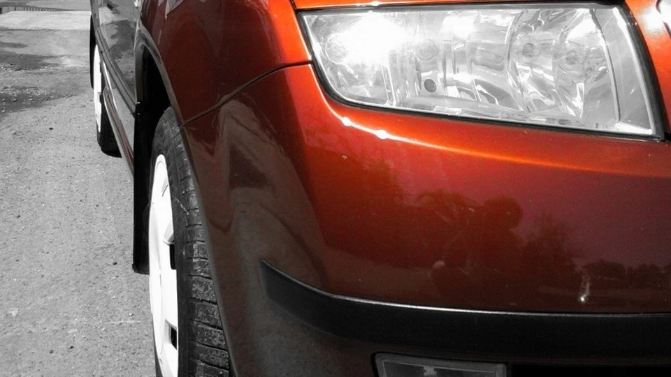 Skoda Fabia Шкодень