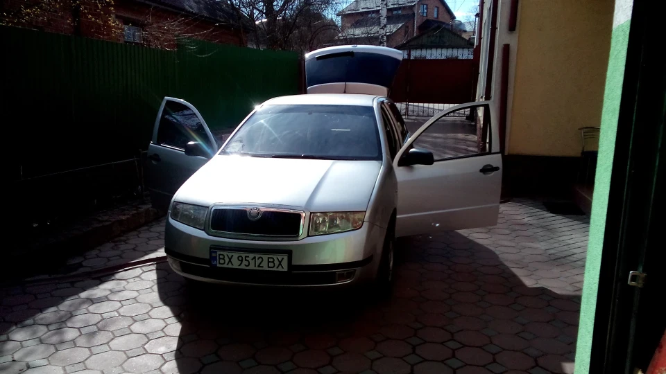 Skoda Fabia Шкідка) 2