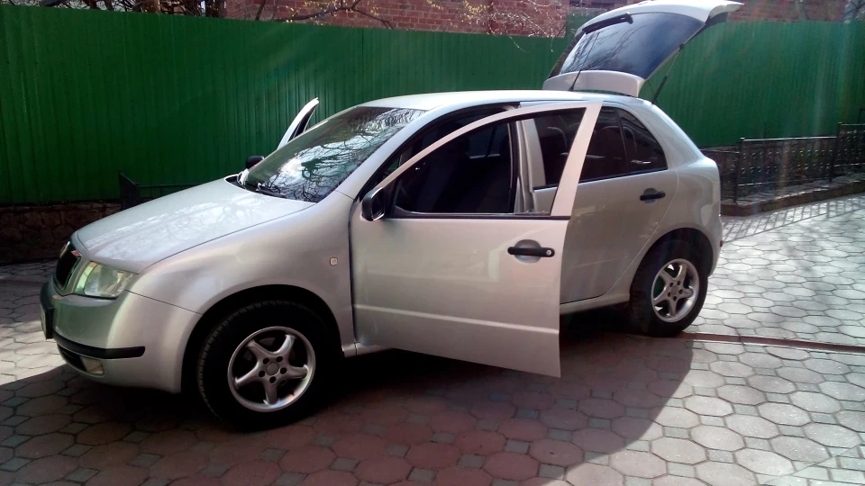 Skoda Fabia Шкідка) 3