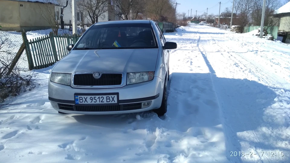 Skoda Fabia Шкідка) 4