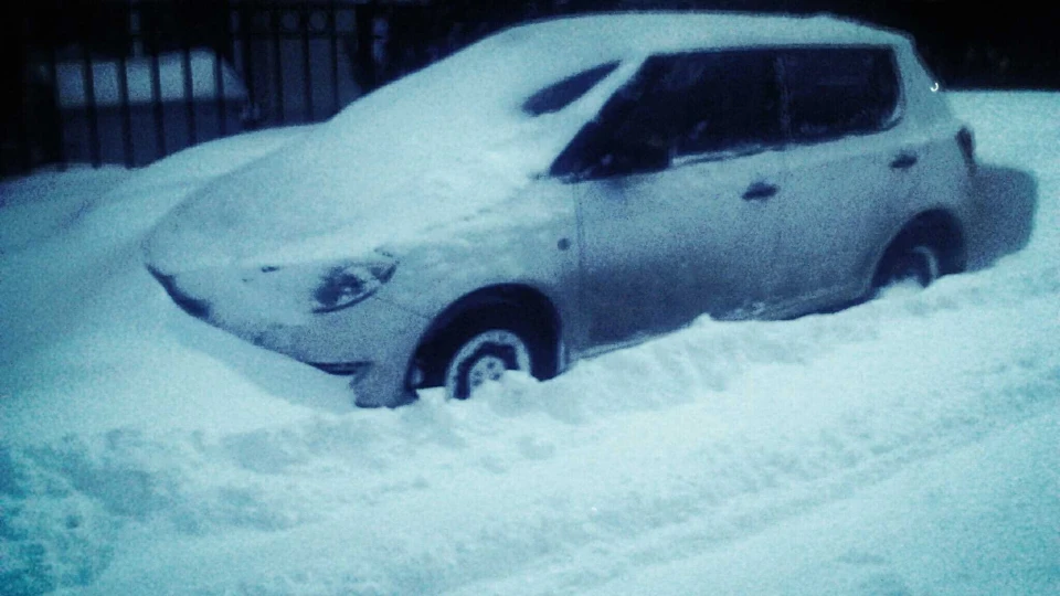 Skoda Fabia Шкварка 3