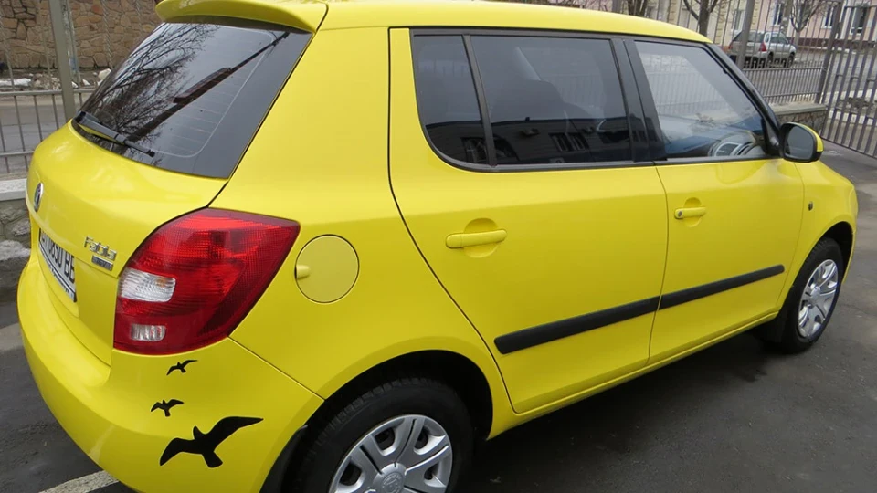 Skoda Fabia Сонечко 4
