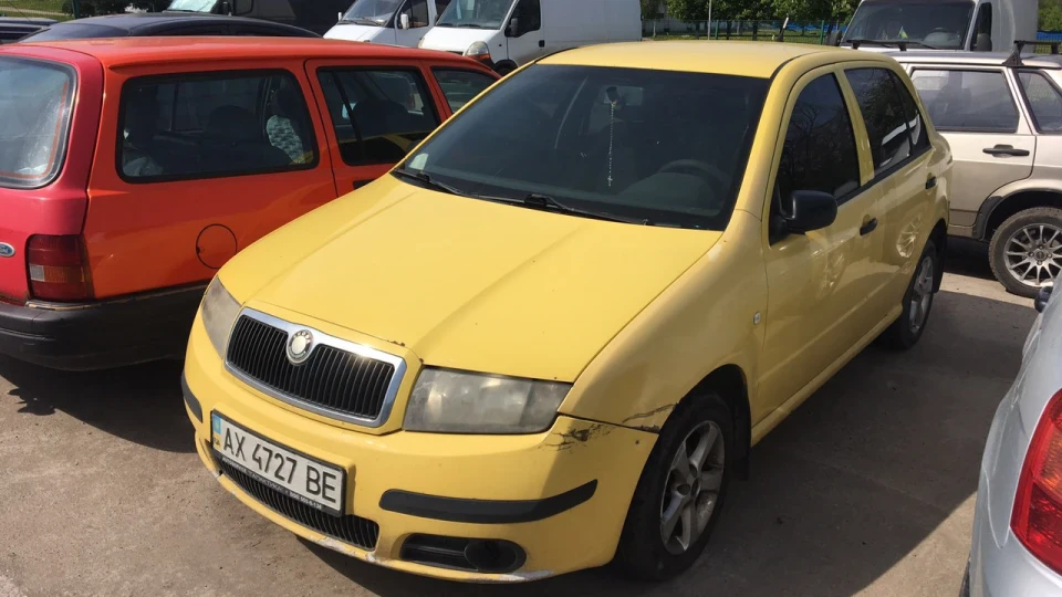 Skoda Fabia Сонечко 2