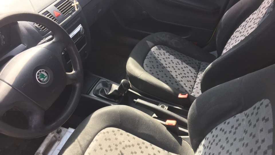 Skoda Fabia Сонечко 5