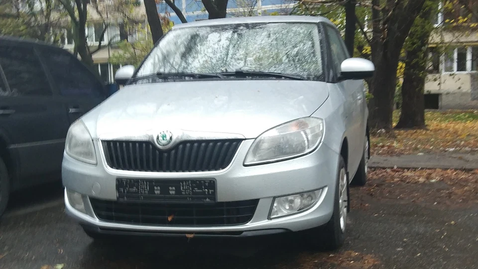 Skoda Fabia Тигра 2