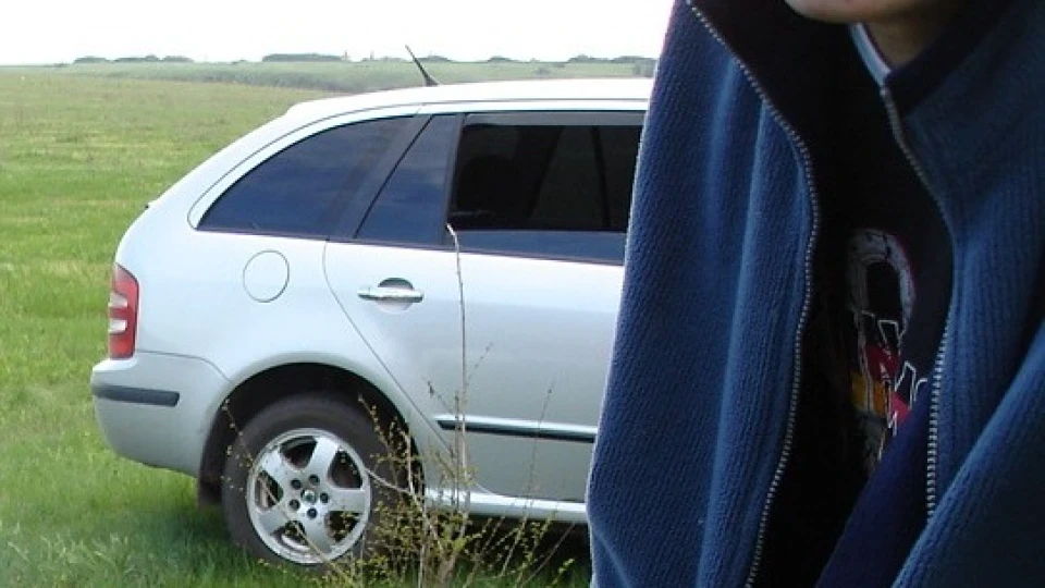 Skoda Fabia Вагончик 5