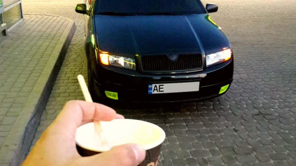 Skoda Fabia ВЖИК
