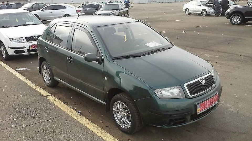 Skoda Fabia Жаба