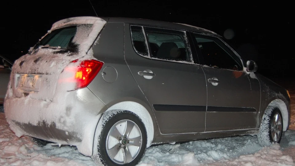 Skoda Fabia ) Жаль 2